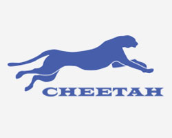 cheeth